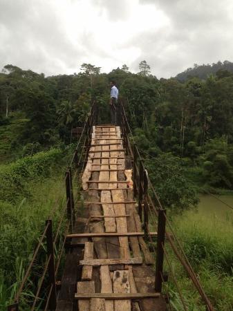 Kothmale Hanging Bridge